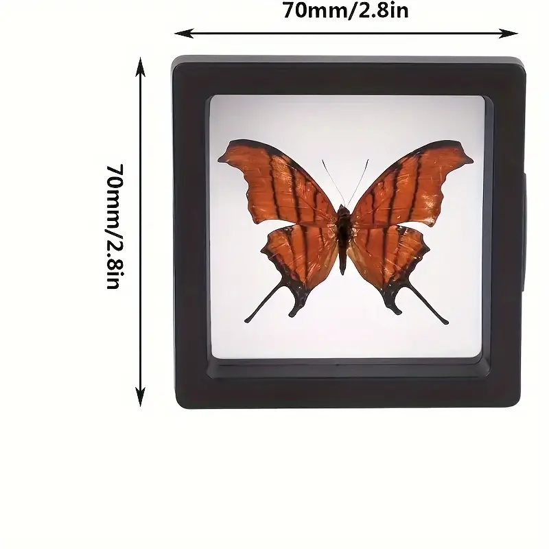 20 個クリアビュー 3D フローティングディスプレイケース - Jewelry Making Tray のレビューと価格